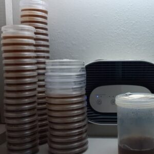 Petri Stack