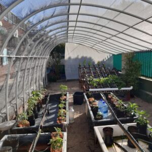 Hydroponic shagenet house