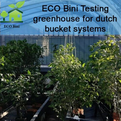 #15 STS Lab Note: Mastering Hydroponic Nutrients and PPM for Healthy Plants
