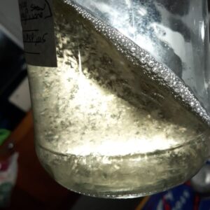 Lliquid Inoculant