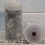 Mushroom mother grain spawn