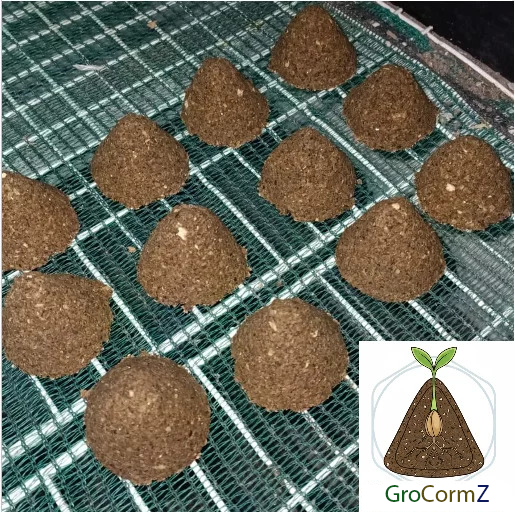 GroCormZ Elephant garlc corm-in-a-pod
