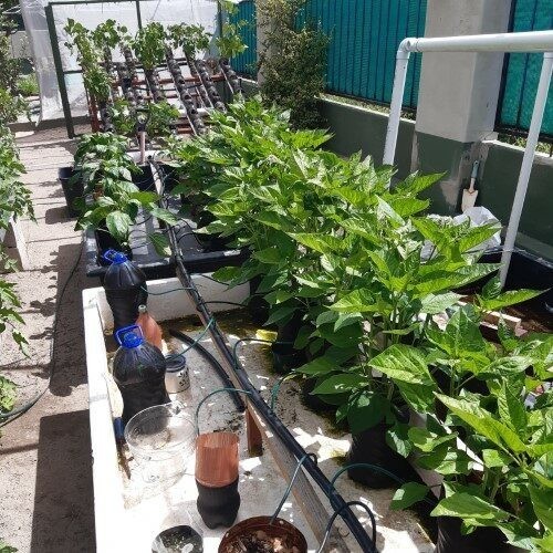 Hydroponic test house