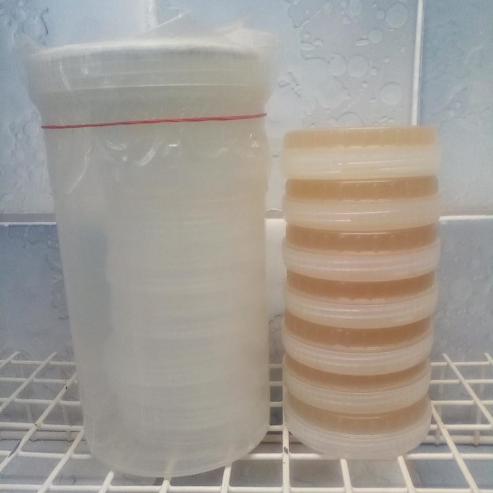 Polypropylene Petri Dish Autoclave set