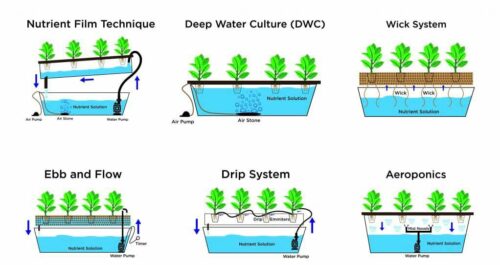 6 of hydroponic systems types
