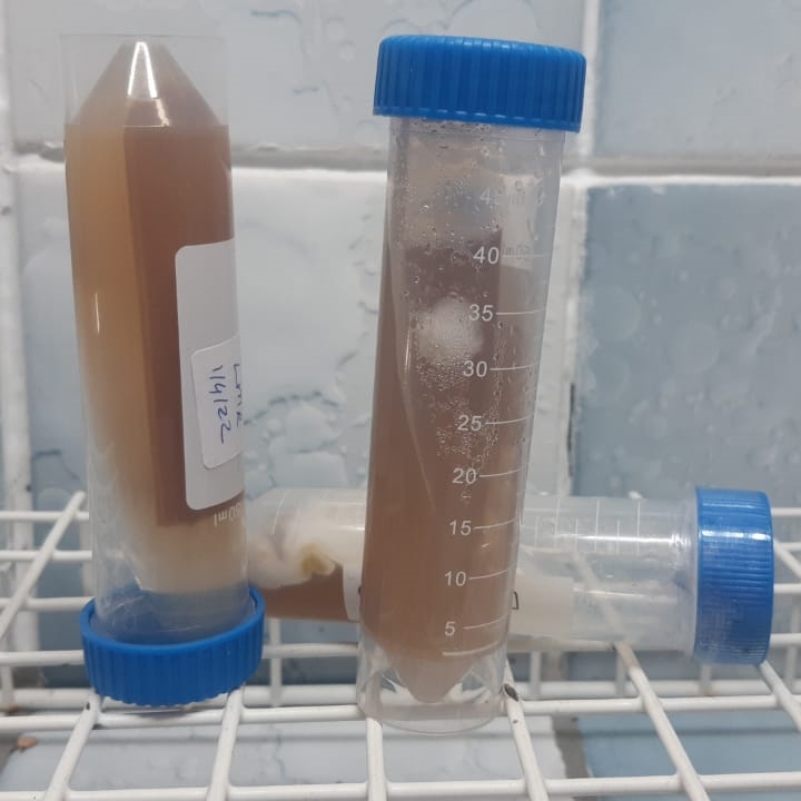 Polypropylene culture slants