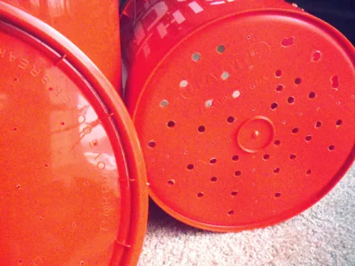 Worm bucket holes