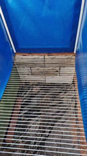 Vermicompost Flow-through Worm Bin