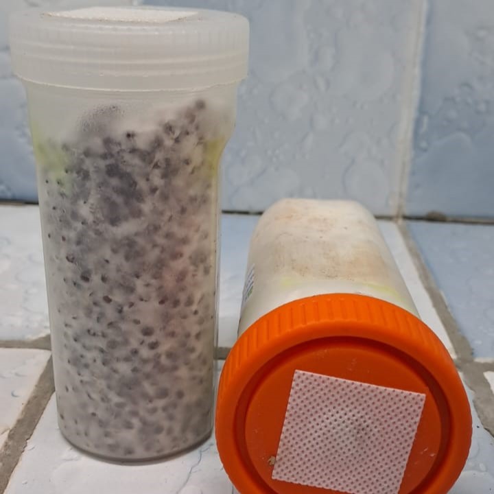 Mother grain spawn