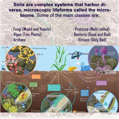 Soil Microbiome types