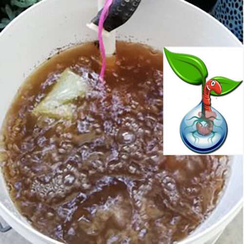 DIY Vermi Tea kit