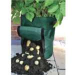 Potato Grow Bag