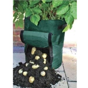 Potato Grow Bag