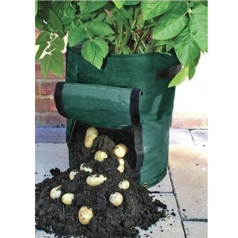 Potato Grow Bag