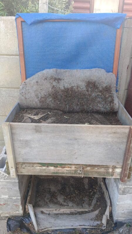 Baby Blue Worm bin - Continuous flow-through CFT