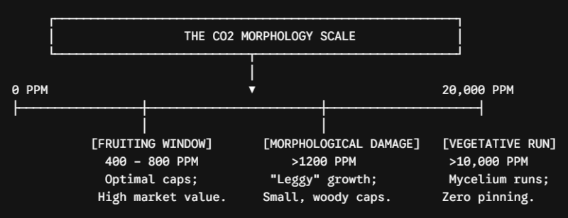 CO2 morphology Scale