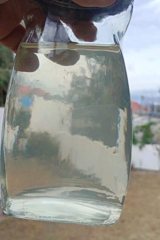 Liquid Culture PRemix