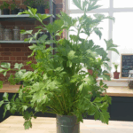 Vermiponic Planter Celery Deepai
