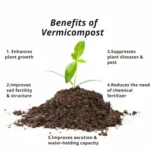 benefits of