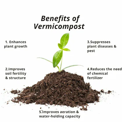 benefits of