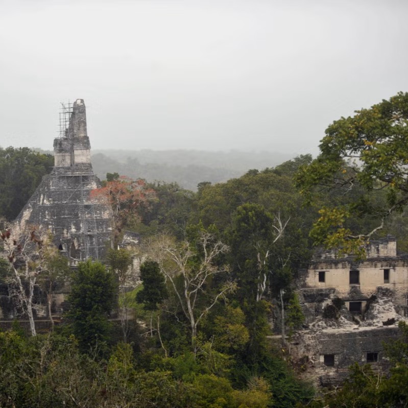 Mayan ruin - Terra Preta
