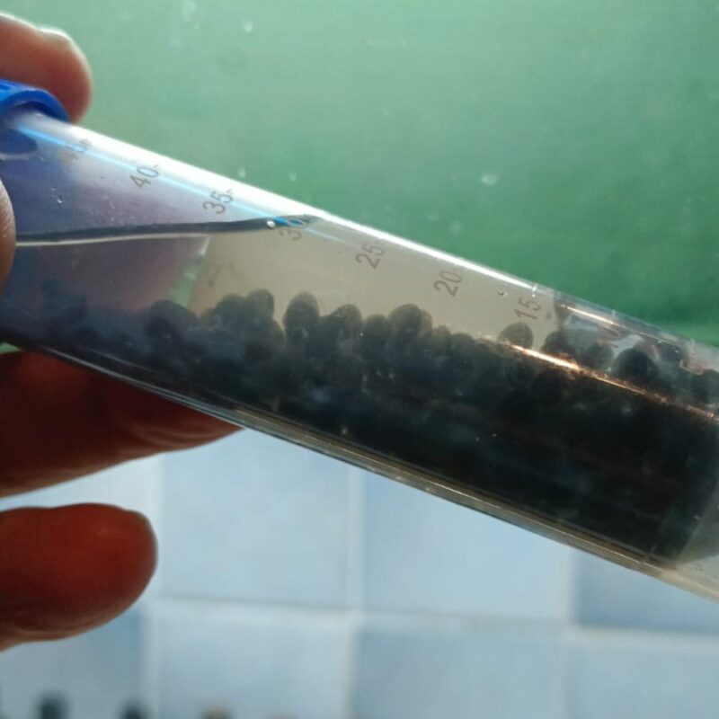Black Pearls in a 50cc vial - Castellani