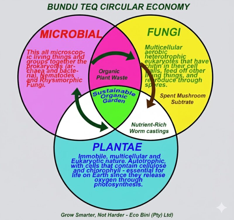 Bundu Teq Sustainable Agriculture Circular Economy