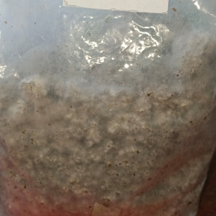 Eco Bini Synthetic Spawn