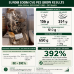 Bundu Boom CVG PES Trials